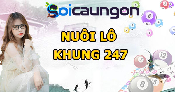 Nuôi lô khung 247