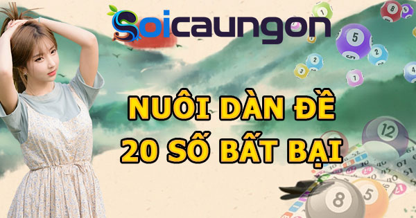 Nuôi dàn đề 20 số